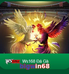bigwin68